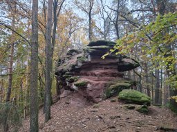 Wanderung Lindelbrunn Nov 2025